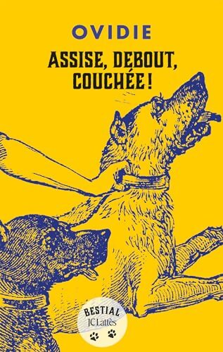 Assise debout couchée - Ovidie - Livre