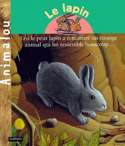 Le lapin - Safia Amor - Livre