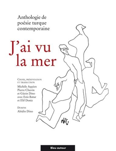 J'ai vu la mer : Anthologie de poésie turque contemporaine - Michèle Aquien - Livre
