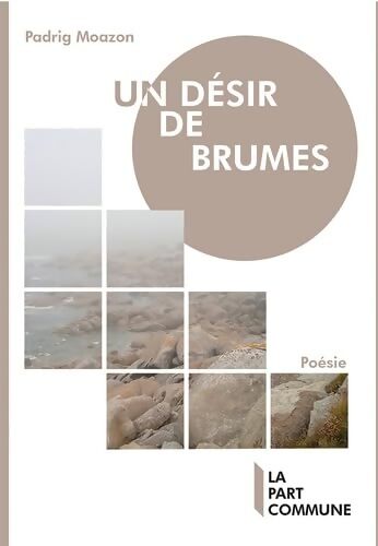 Un désir de brumes - Padrig Moazon - Livre