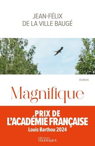 Magnifique - Jean-Félix De La Ville Baugé - Livre