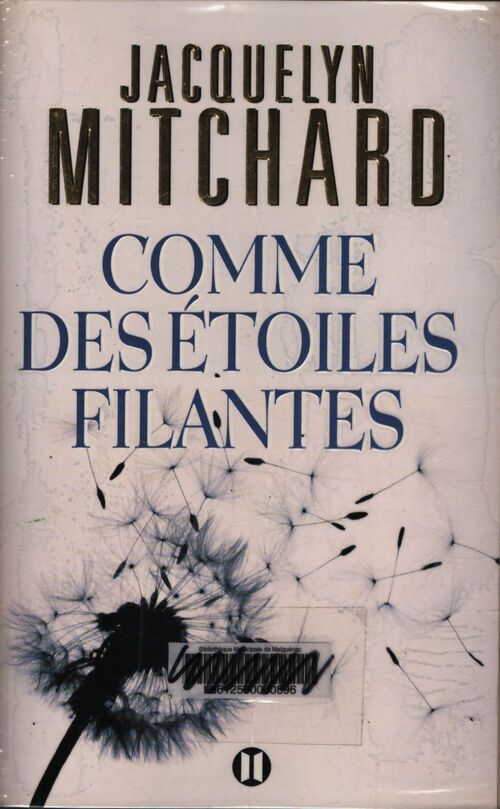 Comme des étoiles filantes - Jacquelyn Mitchard - Livre