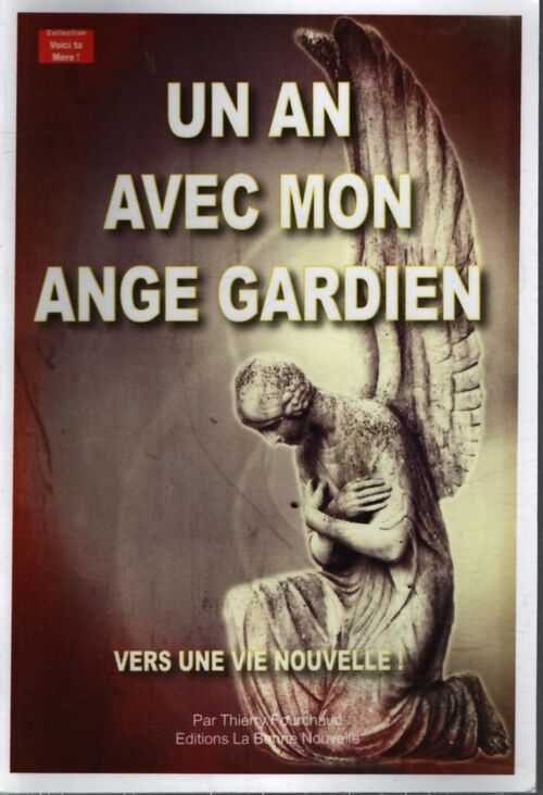Un an avec mon ange gardien. Vers une vie nouvelle ! - Collectif - Livre