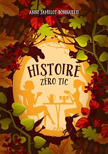 Histoire zéro tic - Anne Jamelot-Bonnaillie - Livre