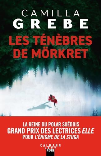 Les Ténèbres de Mörkret - Camilla Grebe - Livre