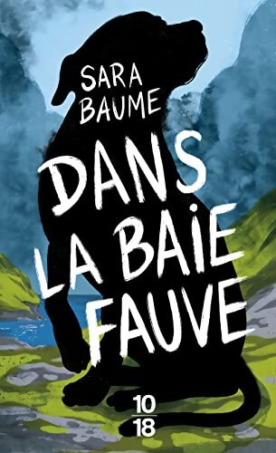 Dans la baie fauve - Sara Baume - Livre