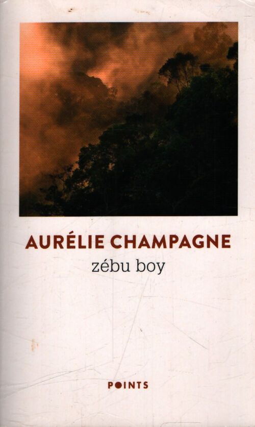 Zébu boy - Aurélie Champagne - Livre