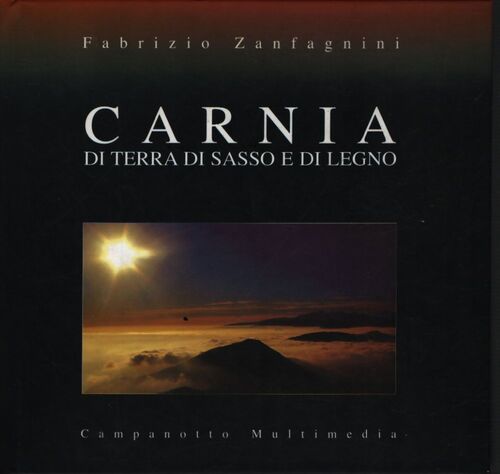Carnia. Di terra di sasso e di legno. Con CD audio - Fabrizio Zanfagnini - Livre