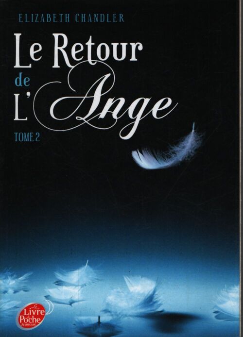 Le retour de l'ange Tome II - la poursuite - Elizabeth Chandler - Livre