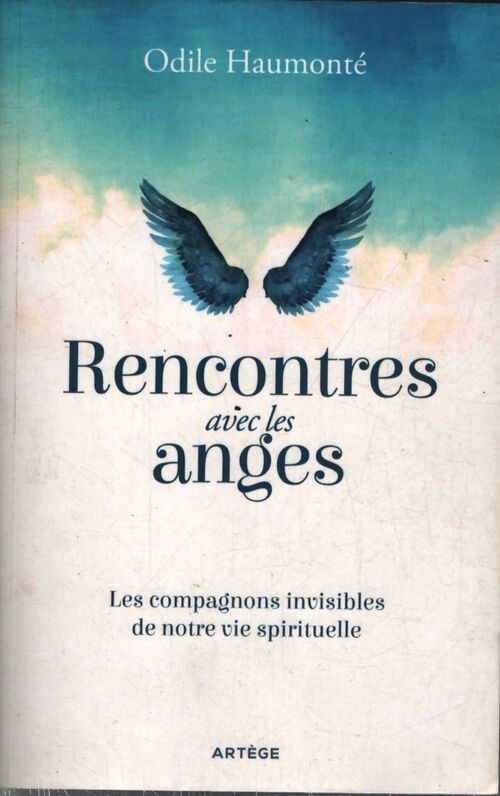 Rencontres avec les anges : Les compagnons invisibles de notre vie spirituelle - Odile Haumonté - Livre