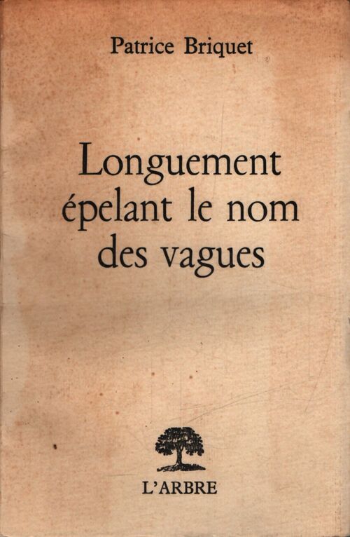 Longuement épelant le nom des vagues - Patrice Briquet - Livre