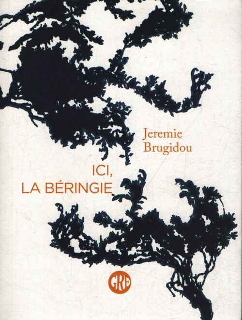 Ici la béringie - Jérémie Brugidou - Livre