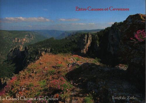 Entre Causses et Cévennes : Le grand chemin des Crêtes Tome II - Luigi De Zarlo - Livre