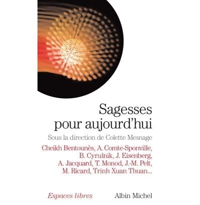 Sagesses pour aujourd'hui : Entretiens réalisés par colette mesnage - Collectif - Livre