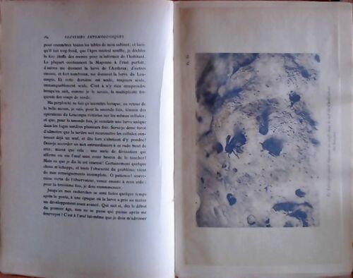 Souvenirs entomologiques Tome III - J.H Fabre - Delagrave GF - Livre