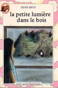 La petite lumière dans le bois - Denis Brun - Castor Poche - Livre