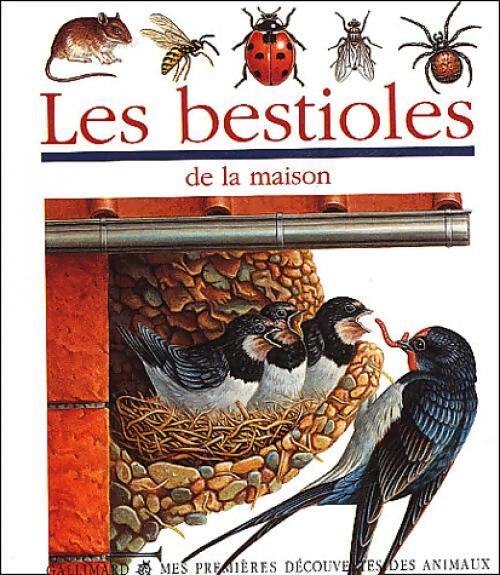 Les bestioles de la maison - Pierre De Hugo - Mes premières découvertes - Livre