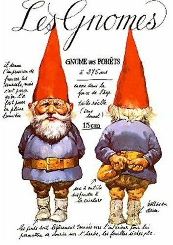 Les gnomes - Wil Huygen - Albin Michel GF - Livre