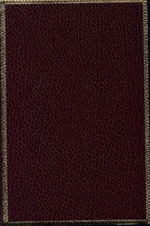 Ambre Tome II - Kathleen Winsor - Bestsellers du monde entier - Livre