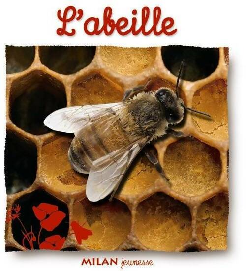 L'abeille - Natacha Fradin - Milan jeunesse - Livre