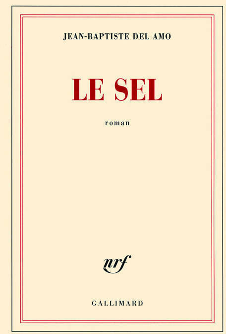 Le sel - Jean-Baptiste Del Amo - Gallimard GF - Livre
