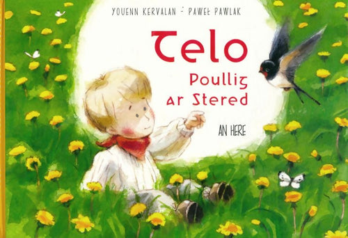 Telo Poullig ar Stered - Youenn Kervalan - An Here GF - Livre