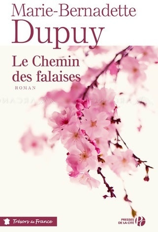 Le chemin des falaises - Marie-Bernadette Dupuy - Trésors de France - Livre