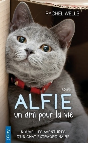 Alfie, un ami pour la vie - Rachel Wells - City poche - Livre