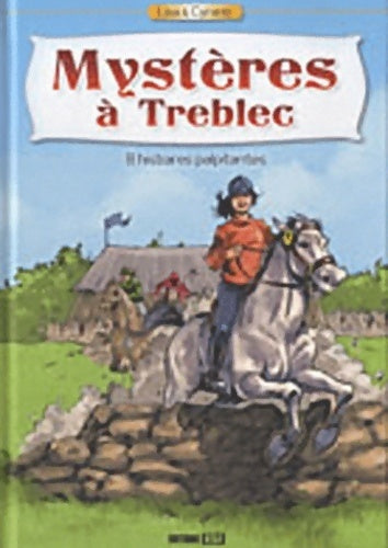 Mystères à treblec - Marie-lyne Boiron - Esi GF - Livre
