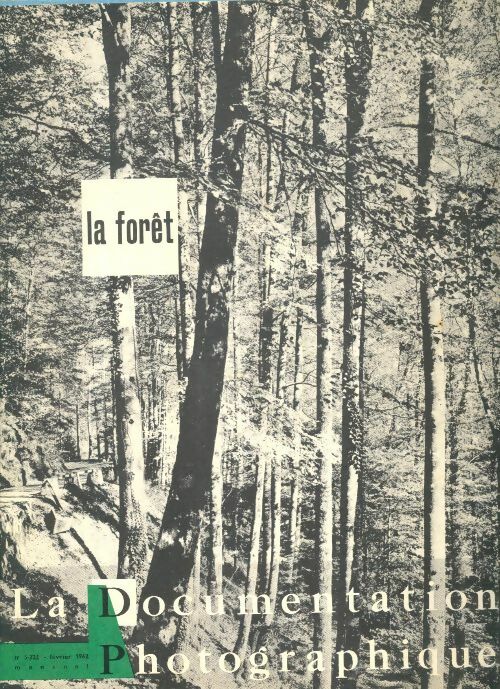 La documentation photographique n°5222 : La forêt - Collectif - La documentation photographique - Livre
