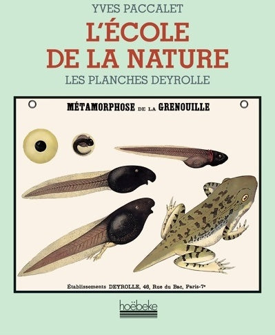 L'école de la nature : Les planches deyrolle - Yves Paccalet - Hoebeke GF - Livre
