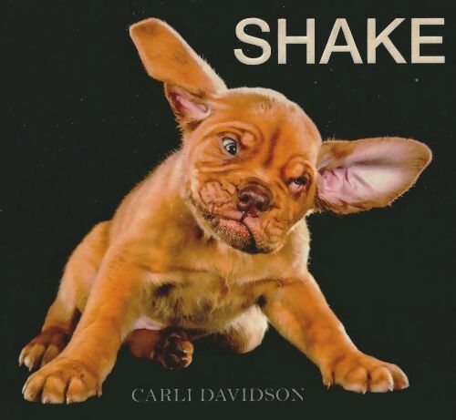 Shake - Carli Davidson - Harper design - Livre