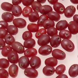 Perles en verre forme de petite goutte Ø5mm couleur rouge brillant (x 10)
