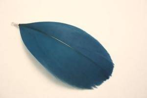 Plume 75mm couleur bleu pétrole avec anneau (x 1)