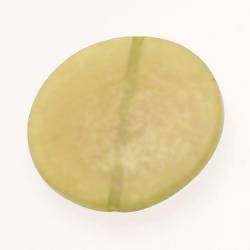 Perle en résine disque Ø40mm couleur vert olive brillant (x 1)