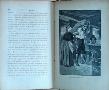 Lis et chardon - Comtesse De Houdetot -  Bibliothèque des Ecoles et des Familles - Livre