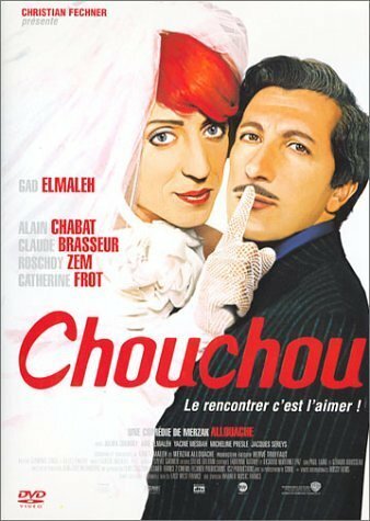 Livrenpoche : Chouchou - Édition Simple - Allouache, Merzak - DVD