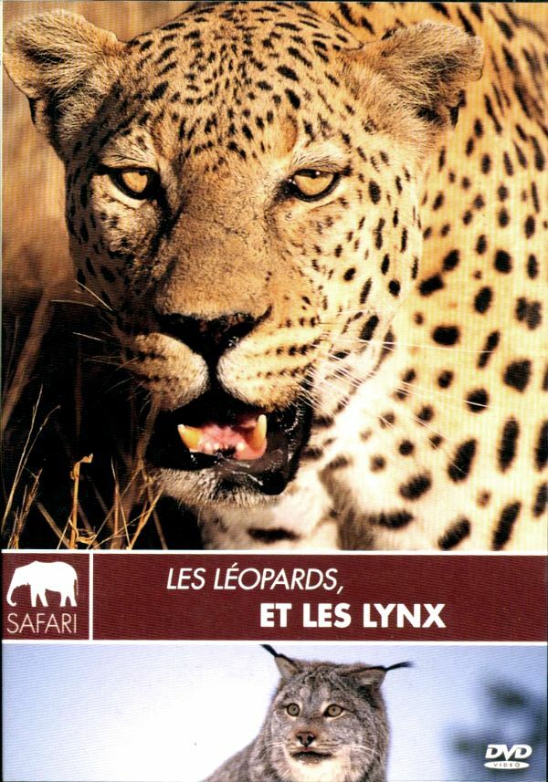 Livrenpoche : Les Léopards et les Lynx - Ross, John - DVD