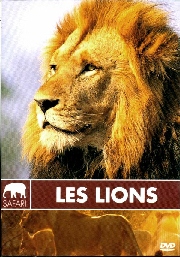 Livrenpoche : Les Lions -  - DVD