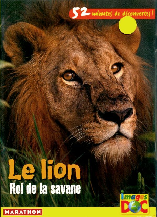 Livrenpoche : Le Lion Roi de la savane - Sylvie Bergerot - DVD