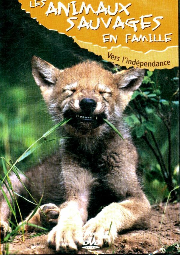 Livrenpoche : Les Animaux Sauvages en famille / Vers L'indépendance - XXX - DVD