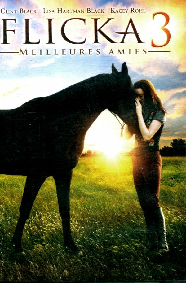 Livrenpoche : Flicka 3 : Meilleures amies - Michael Damian - DVD
