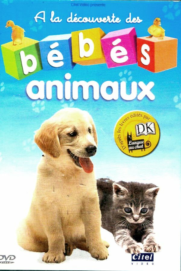 Livrenpoche : A la découverte des bébé animaux - Antoine Lassaigne - DVD