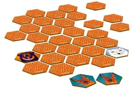 Livrenpoche : Memo Dingo -  - jeuSociete