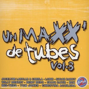 Livrenpoche : Un Maxx de tubes Vol. 3 - Artistes Divers, Denzey, Willie - CD