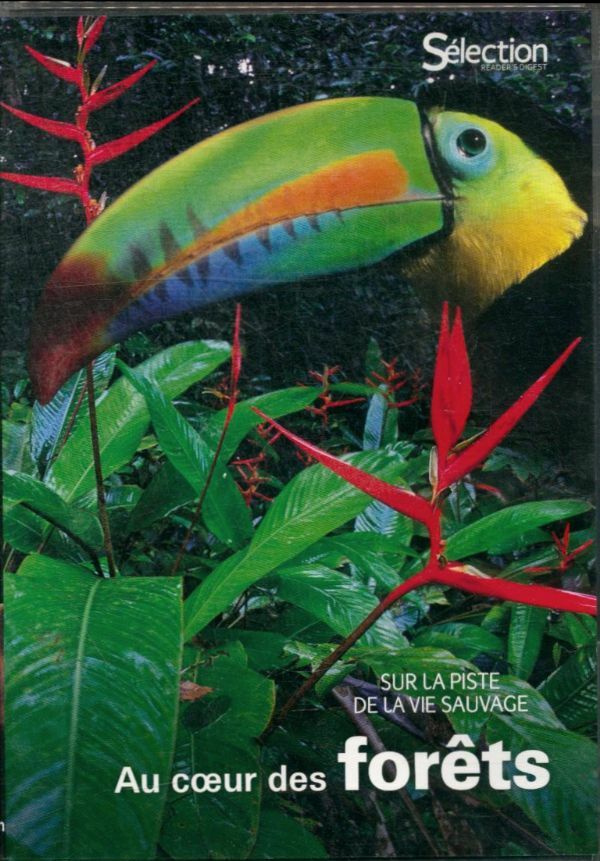 Livrenpoche : Sur la piste de la vie sauvage - Au coeur des forets - XXX - DVD