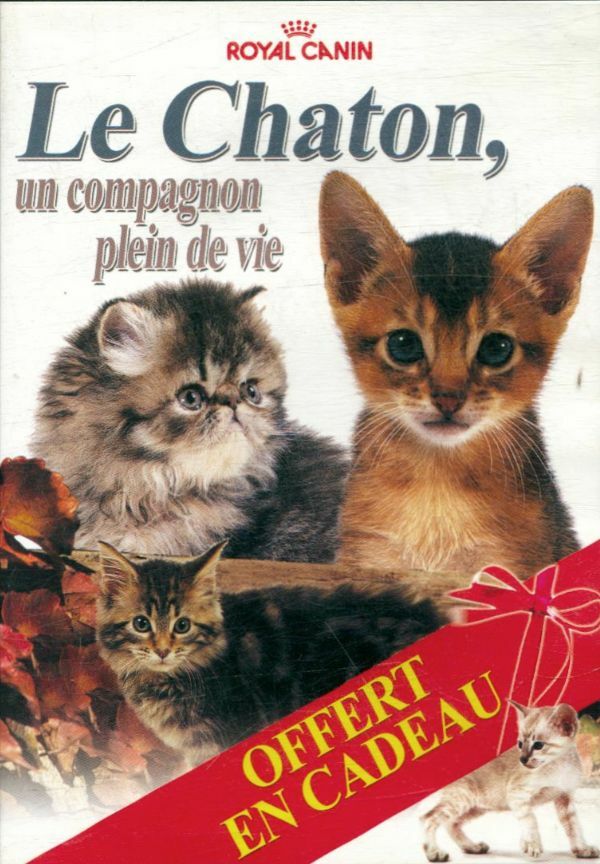 Livrenpoche : Le chaton, un compagnon plein de vie - XXX - DVD