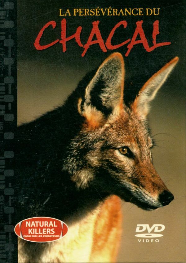 Livrenpoche : La persévérance du chacal - XXX - DVD