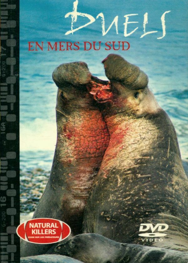 Livrenpoche : Duels en mers du Sud - XXX - DVD