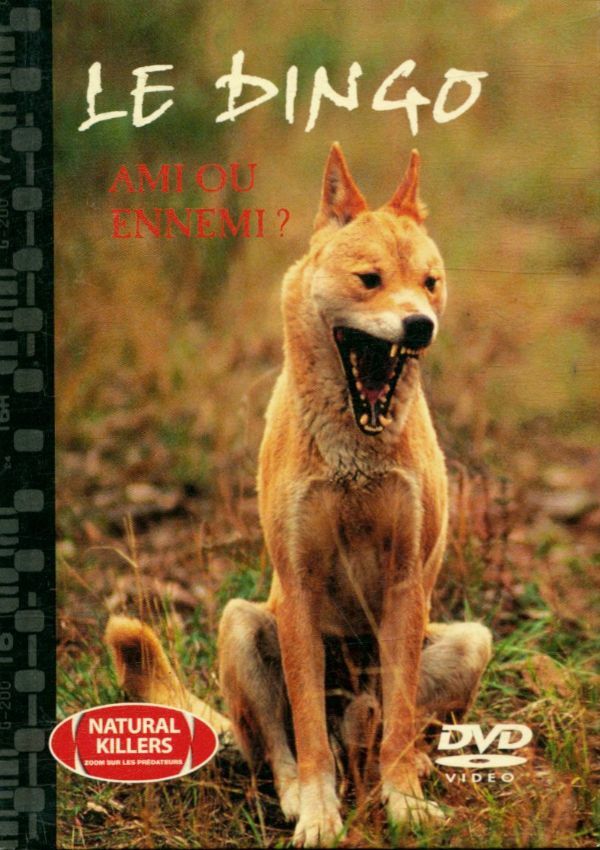 Livrenpoche : Le dingo: ami ou ennemi ? - XXX - DVD